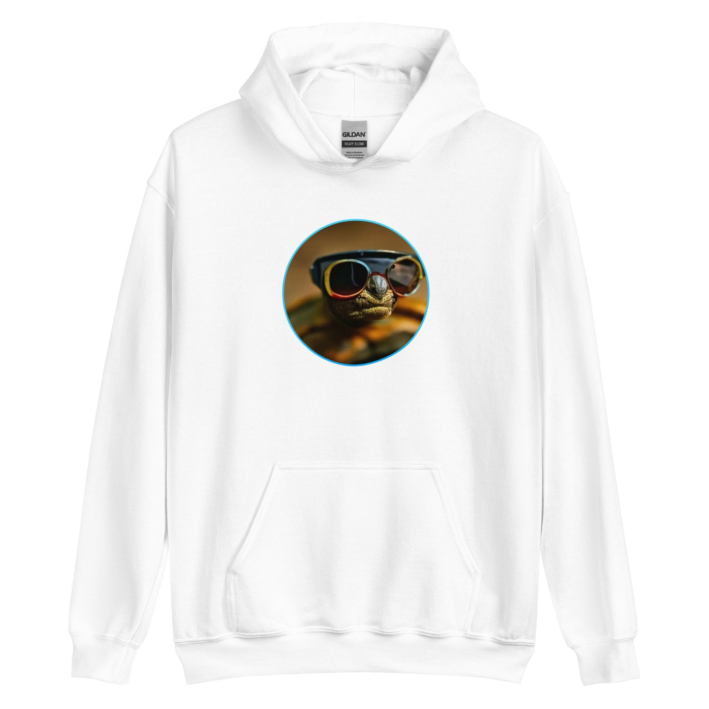 sunglasses turtle - peter